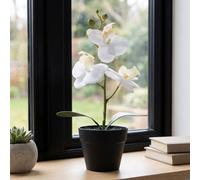 Garden Greatness Artificial Blanc Mini Orchid In Pot in White | Size: 1 Pack Garden Greatness White 1 Pack