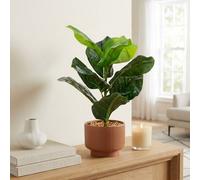 Garden Greatness Artificial Fiddle Leaf Plant In Pot