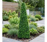 Garden Greatness Artificial Topiary Boxwood Obelisk in Green Garden Greatness Green