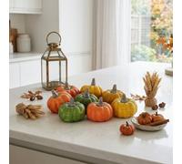 Garden Greatness Autumnal Assorted Decorative Pumpkins