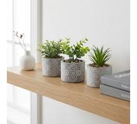 Garden Greatness Decorative Faux Succulent Pot Trio