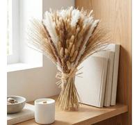 Garden Greatness Dried Pampas Bouquet Bundle Modern