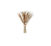Garden Greatness Dried Pampas Flower Bouquet Home Decor