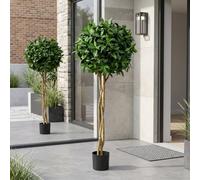 Garden Greatness Evergreen Laurel Ball Potted Tree in Green Garden Greatness Green