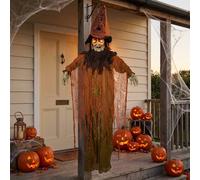 Garden Greatness Hanging Haunted LED Animated Witch | Size: 1 Pack Garden Greatness Multicolor 1 Pack