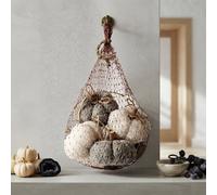 Garden Greatness Harvest Decorative Pumpkins In Bag