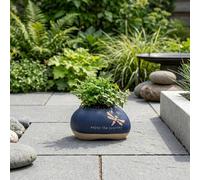 Garden Greatness Journey Dragonfly Planter Pot Garden Greatness Multicolor