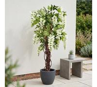 Garden Greatness Lifelike Cream Wisteria Potted Tree