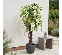 Garden Greatness Lifelike Cream Wisteria Potted Tree in White | Size: 1 Pack Garden Greatness White 1 Pack