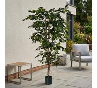 Garden Greatness Lifelike Green Fiscus Potted Tree