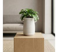 Garden Greatness Loni Sculptural Interior Decorative Vase | Size: 1 Pack Garden Greatness Multicolor 1 Pack