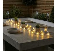 Garden Greatness Lunaria 20 Solar Daisy String Lights