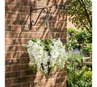 Garden Greatness Lunaria Blanc Cascading Wisteria Hanging Basket Garden Greatness Multicolor
