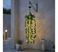 Garden Greatness Lunaria Hanging Solar Ivy Basket Garden Greatness Multicolor