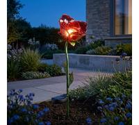 Garden Greatness Lunaria Red Rose Solar Garden Stake Light | Size: 1 Pack Garden Greatness Red 1 Pack