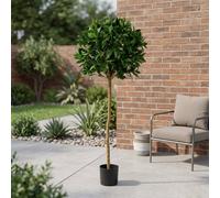 Garden Greatness Lush Green Sweet Bay Ball Potted Tree Garden Greatness Green