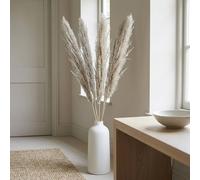 Garden Greatness Natural Dried Pampas Grass Stems | Size: 1 Pack Garden Greatness Multicolor 1 Pack