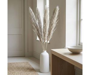 Garden Greatness Natural Dried Pampas Grass Stems | Size: 1 Pack Garden Greatness Multicolor 1 Pack