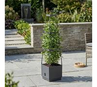 Garden Greatness Parterres Self Watering Planter Pot Garden Greatness Multicolor