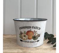 Garden Greatness Pumpkin Patch Zinc Planter Pot - Rustic Autumn Decor in White | Size: 1 Pack Garden Greatness White 1 Pack