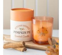 Garden Greatness Pumpkin Pie Scented Candle - Autumn Wishes Gift in Orange | Size: 1 Pack Garden Greatness Orange 1 Pack