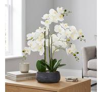 Garden Greatness Relica Large Real Touch Orchid In Pot | Size: 1 Pack Garden Greatness Multicolor 1 Pack