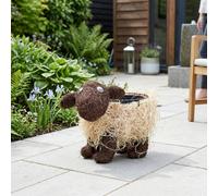 Garden Greatness Shelley Sheep Decorative Rattan Planter in Natural Garden Greatness Natural