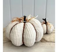 Garden Greatness Supersized Knitted Pumpkin Autumn Decor in White | Size: 1 Pack Garden Greatness White 1 Pack