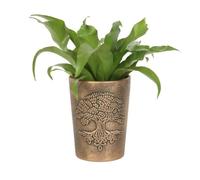 Garden Greatness Tree of Life Terracotta Bronze Plant Pot in Brown | Size: 1kg Garden Greatness Brown 1kg