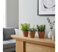 Garden Greatness Trio Artificial Herb Plants In Pots