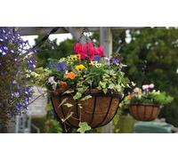 30cm Garden Hanging Baskets with Chains & Natural Coconut Husk Liner Metal Frame