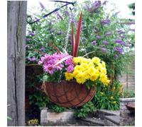 Garden Hanging Flower Basket Coco Jute Liner 12'' 14'' 16'' Rope Rattan Cone