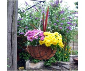Garden Hanging Flower Basket Coco Jute Liner 12'' 14'' 16'' Rope Rattan Cone