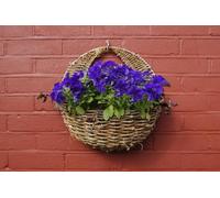Garden Haven Rustic Rattan Wall Basket Planter, 40 cm, 16-Inch Pre lined Natural basket on strong wire frame Elegant contrasting weave from Natural Fibres