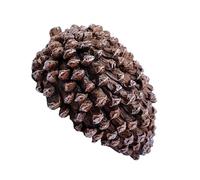 Garden Key Hider, Hide A House Spare Key Lock Box, Outdoor Garden Security Stash Storage, Fake Cone Key Hider, Hidden Key Box For Money Jewelry Valuables | Pinecone Key Hider