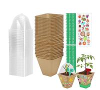 Garden Kit For Kids - Educational Gardening Set With Greenhouse Stickers | Growing Learning Activity For Home Balcony Birthday Boys Girls Family Nature Exploration