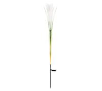 Garden Lamps - Stylish LED Lights by Reed, Romantic Decorative Accent Outdoor | Landscape Yard Lighting Night Lighting Bright Flower Beds, Festival Display