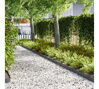 Lawn Edging 20 pcs Anthracite 100 x 0.05 x 15 cm