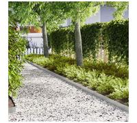 Garden Lawn Edging 20pcs Galvanised Steel 100x15cm Rustproof Outdoor Border