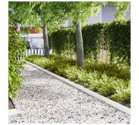 Garden Lawn Edging 30pcs White Cold Rolled Steel 100x15cm Outdoor Heavy Duty Set