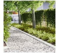 Garden Lawn Edging White 10pc 100x15cm Cold Rolled Steel Outdoor Border Edge Set