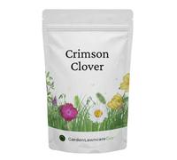 Garden Lawncare Guy Crimson Clover Seed For Sowing Trifolium Incarnatum 100G