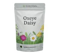 Garden Lawncare Guy Oxeye Daisy Seed - Wild Flower Seeds For Beds And Borders - White And Yellow - 20G