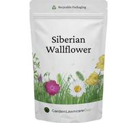 Garden Lawncare Guy Siberian Wallflower Seeds - Ideal For Wildflower Meadows, Pollinator Borders & Colourful Displays - Erysimum Allionii 20G
