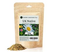 Garden Lawncare Guy Uk Native Wild Flower Seeds Mix 20G (10M²)