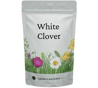 Garden Lawncare Guy White Clover Seed Trifolium Repens Wild Clover For Sowing 100G