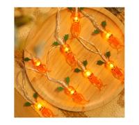 Garden Lights Creative Fruit Shape String Lights Hanging Warm White Copper Wire Lights LED Novelty Fairy String Lights for Home Christmas Party Decor