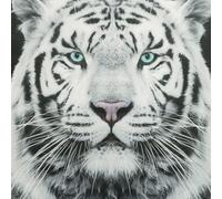 Garden Market Place Canvas Print, Siberian Tiger Wall Art, Black and White Portrait with Coloured Eyes, Canvas Wall Art on Wooden Frame, Statement Wall Decor, 60 x 60 cm