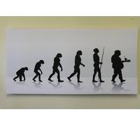 Garden Market Place Large 'evolution Of Man' Canvas Picture Print - Black And White
