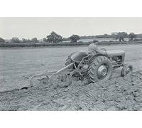 Garden Market Place Massey Ferguson MF35 Tractor Ploughing Canvas Picture Print- Black and White
